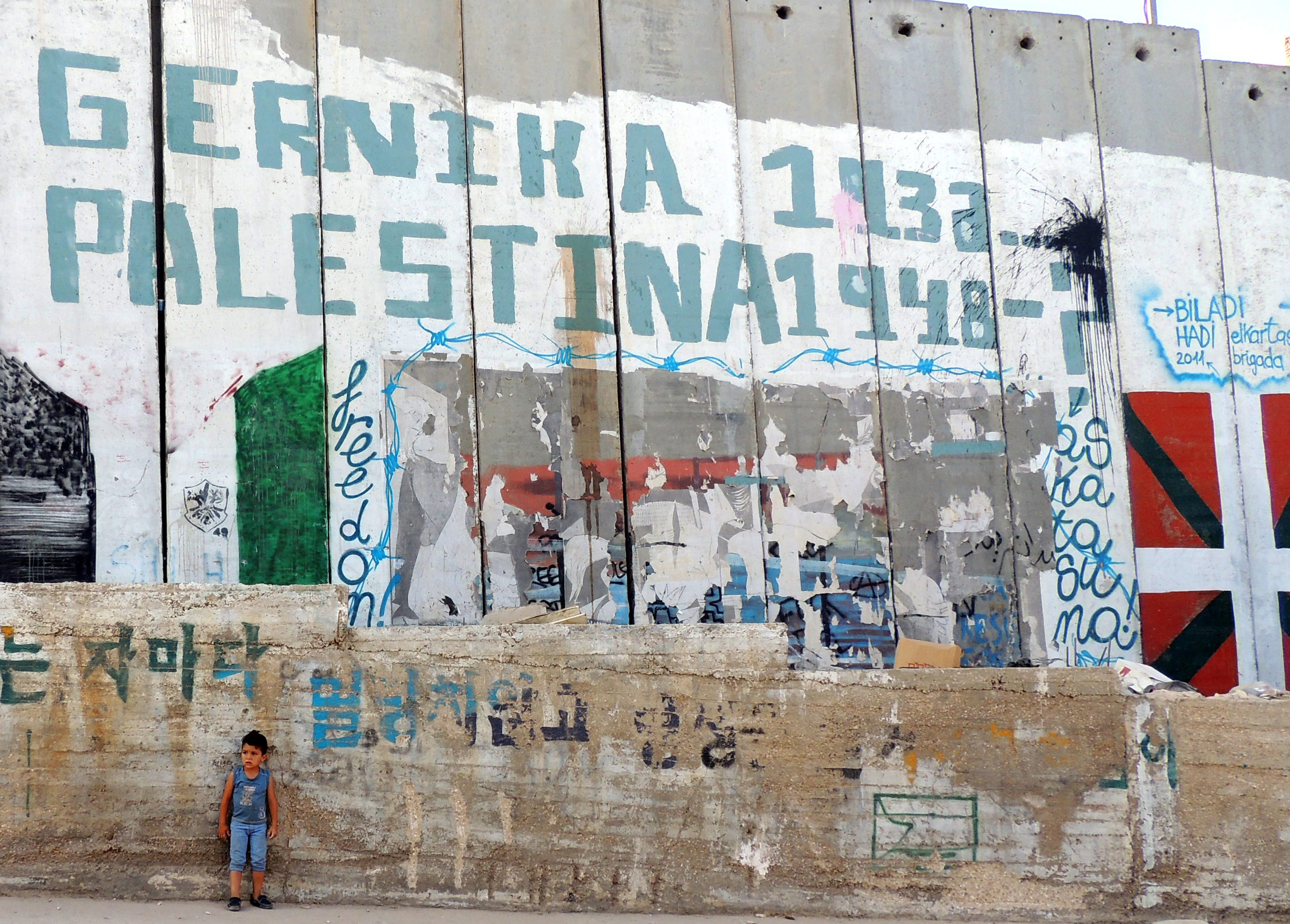 aida palestina